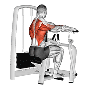lever seated row animación