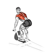 lever t-bar reverse grip row animación