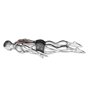 lower back curl animación
