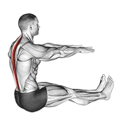 spine stretch animación