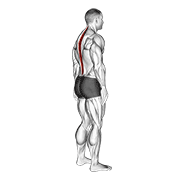 standing pelvic tilt animación