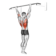 wide grip rear pull-up animación