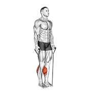 band two legs calf raise - (band under both legs) v. 2 animación