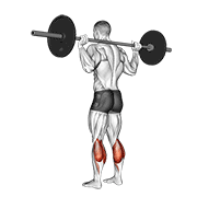 barbell floor calf raise animación