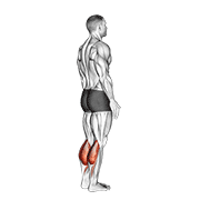 bodyweight standing calf raise animación