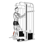 cable standing one leg calf raise animación