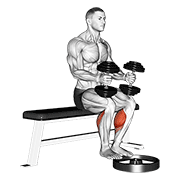dumbbell seated calf raise animación