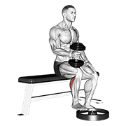 dumbbell seated one leg calf raise - hammer grip animación