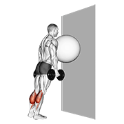 exercise ball on the wall calf raise animación