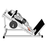 hack calf raise animación