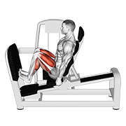 lever seated squat calf raise on leg press machine animación