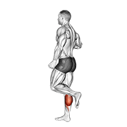 one leg floor calf raise animación