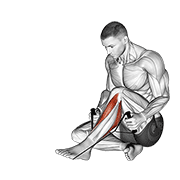 posterior tibialis stretch animación