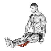 seated calf stretch (male) animación