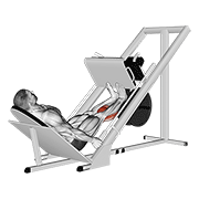 sled calf press on leg press animación