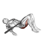 barbell glute bridge animación