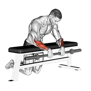 barbell palms down wrist curl over a bench animación