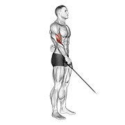 cable reverse one arm curl animación