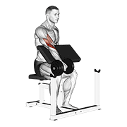 dumbbell one arm reverse preacher curl animación