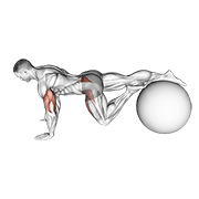 exercise ball one leg prone lower body rotation animación