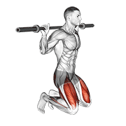 kneeling jump squat animación