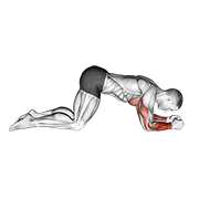 modified push up to lower arms animación