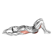 pelvic tilt into bridge animación