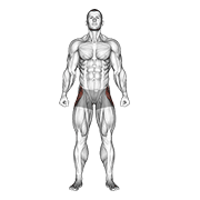 straight leg outer hip abductor animación