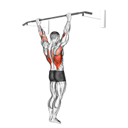 wide grip pull-up animación