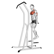 chest dip (on dip-pull-up cage) animación