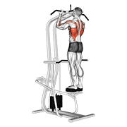 assisted standing chin-up animación
