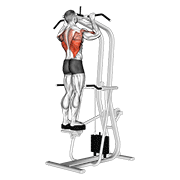 assisted standing pull-up animación