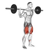 barbell low bar squat animación