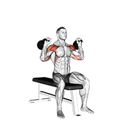 kettlebell seated two arm military press animación