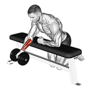 dumbbell over bench one arm reverse wrist curl animación