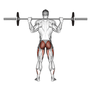 barbell full squat (back pov) animación