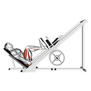 sled 45° leg press (side pov) animación
