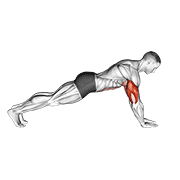 push-up on lower arms animación