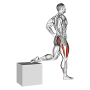 one leg squat animación