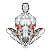 butterfly yoga pose animación