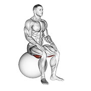 exercise ball seated hamstring stretch animación