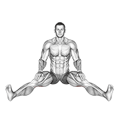 seated wide angle pose sequence animación