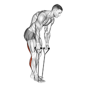 standing hamstring and calf stretch with strap animación