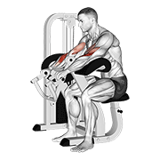 lever reverse grip preacher curl animación