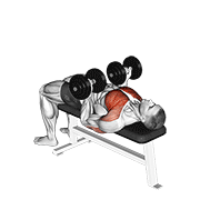 dumbbell reverse bench press animación