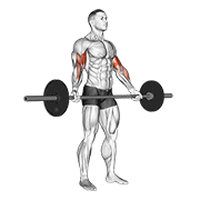 barbell standing wide grip biceps curl animación