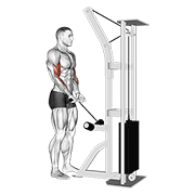 cable close grip curl animación