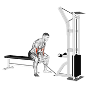 cable concentration curl animación