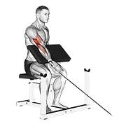 cable one arm preacher curl animación