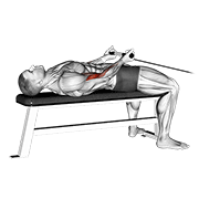 cable lying bicep curl animación